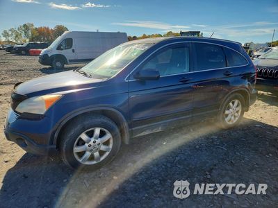 2008 HONDA CR-V EXL JHLRE48748C036451 - główne zdjęcie licytacji z USA - miniatura