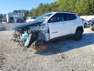 2025 JEEP COMPASS LATITUDE 3C4NJDBN3ST529239 - główne zdjęcie licytacji z USA - miniatura