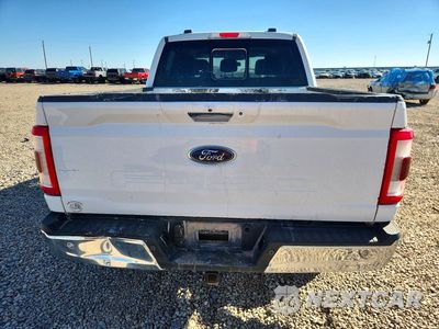 Zdjęcie 6 z 12 samochodu: 2023 FORD F150 SUPERCREW VIN:1FTFW1ED2PFB40262 - miniatura