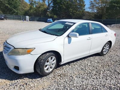 2010 TOYOTA CAMRY LE 4T1BF3EK5AU572870 - główne zdjęcie licytacji z USA - miniatura