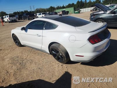 Drugie zdjęcie samochodu z przodu: 2021 FORD MUSTANG VIN:1FA6P8TH8M5127437 - miniatura