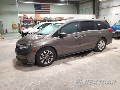 2021 HONDA ODYSSEY EXL 5FNRL6H78MB012780 - główne zdjęcie licytacji z USA - miniatura