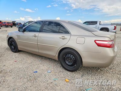Drugie zdjęcie samochodu z przodu: 2009 TOYOTA CAMRY LE VIN:4T1BE46K59U339820 - miniatura