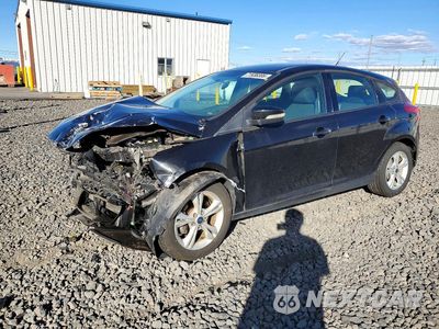 2013 FORD FOCUS SE 1FADP3K29DL108236 - główne zdjęcie licytacji z USA - miniatura
