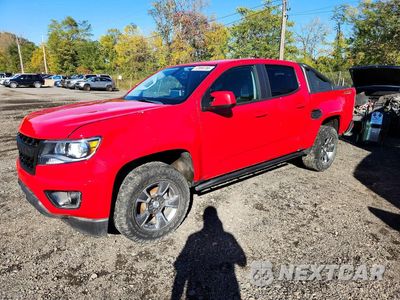 2019 CHEVROLET COLORADO Z71 1GCGTDEN8K1301386 - główne zdjęcie licytacji z USA - miniatura
