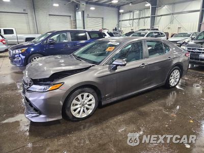 2020 TOYOTA CAMRY LE 4T1C11AK7LU976592 - główne zdjęcie licytacji z USA - miniatura
