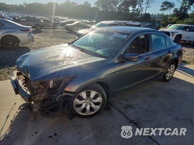 2010 HONDA ACCORD EXL 1HGCP2F83AA026638 - główne zdjęcie licytacji z USA - miniatura