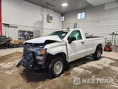 2025 CHEVROLET SILVERADO C1500 HEAVY DUTY 3GCNKAEDXSG371649 - główne zdjęcie licytacji z USA - miniatura
