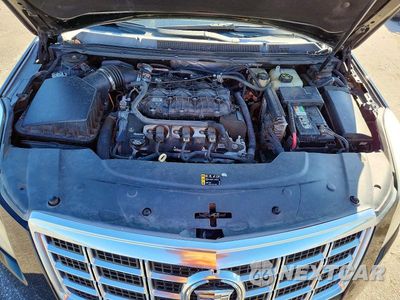 Zdjęcie 11 z 12 samochodu: 2014 CADILLAC XTS LUXURY COLLECTION VIN:2G61M5S37E9118916 - miniatura