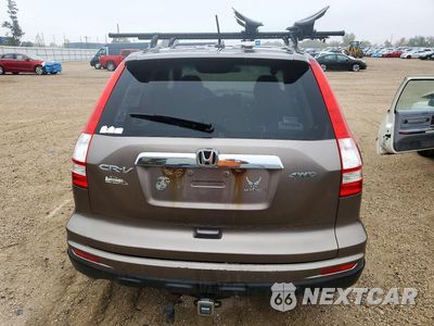 Zdjęcie 6 z 13 samochodu: 2010 HONDA CR-V VIN:5J6RE4H7XBL001864 - miniatura