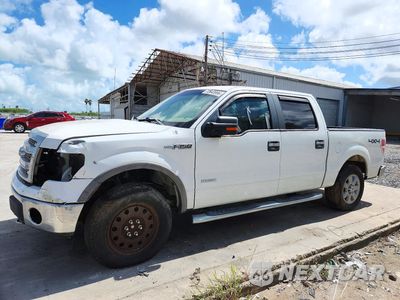 2013 FORD F150 SUPERCREW 1FTFW1ET5DKE75235 - główne zdjęcie licytacji z USA - miniatura