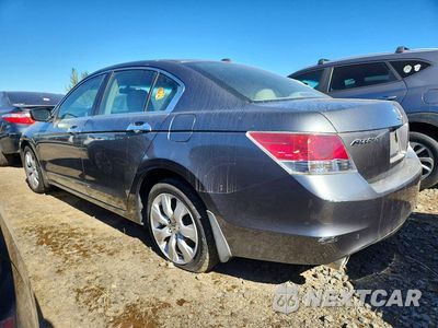 Drugie zdjęcie samochodu z przodu: 2008 HONDA ACCORD EXL VIN:1HGCP36878A068780 - miniatura