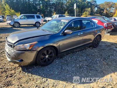 2008 HONDA ACCORD EXL 1HGCP36888A071672 - główne zdjęcie licytacji z USA - miniatura