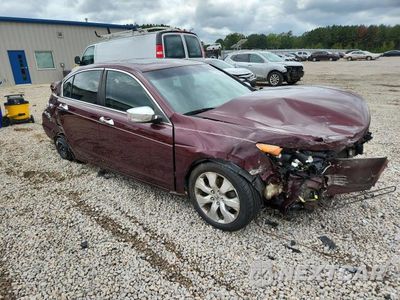 Czwarte zdjęcie samochodu z boku: 2009 HONDA ACCORD EXL VIN:1HGCP36899A045776 - miniatura