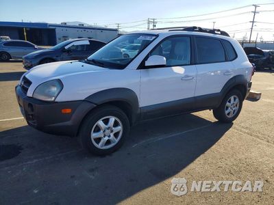 2005 HYUNDAI TUCSON GLS KM8JN12D65U186358 - główne zdjęcie licytacji z USA - miniatura