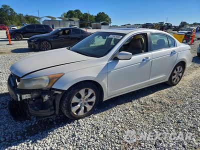 2008 HONDA ACCORD EXL 1HGCP36888A027848 - główne zdjęcie licytacji z USA - miniatura