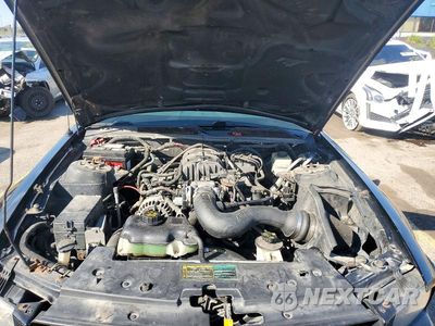 Zdjęcie 11 z 12 samochodu: 2005 FORD MUSTANG VIN:1ZVFT80NX55249618 - miniatura