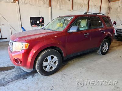 2009 FORD ESCAPE XLT 1FMCU03739KA25028 - główne zdjęcie licytacji z USA - miniatura