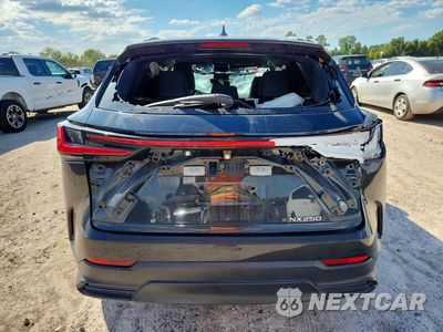 Zdjęcie 6 z 13 samochodu: 2024 LEXUS NX 250 BASE VIN:2T2ADCAZ9RC008104 - miniatura