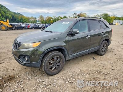 2011 KIA SORENTO LX 5XYKTCA10BG141771 - główne zdjęcie licytacji z USA - miniatura