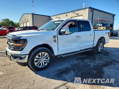 2024 FORD F150 XLT 1FTFW3L89RKE64935 - główne zdjęcie licytacji z USA - miniatura