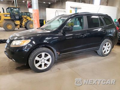 2007 HYUNDAI SANTA FE SE 5NMSH13E27H086999 - główne zdjęcie licytacji z USA - miniatura