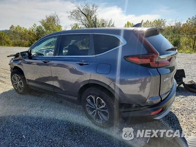 Drugie zdjęcie samochodu z przodu: 2020 HONDA CR-V EX VIN:5J6RW2H56LL035091 - miniatura