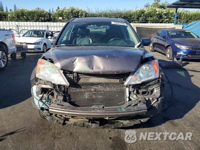 Piąte zdjęcie samochodu w środku: 2010 HONDA CR-V EXL VIN:5J6RE4H75AL100414 - miniatura