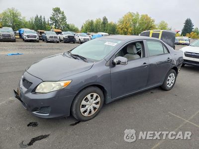 2010 TOYOTA COROLLA LE 1NXBU4EE5AZ293442 - główne zdjęcie licytacji z USA - miniatura