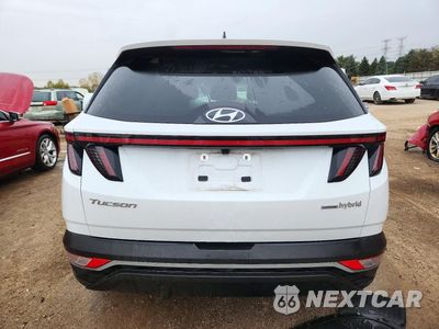Zdjęcie 6 z 13 samochodu: 2024 HYUNDAI TUCSON SEL CONVENIENCE VIN:KM8JCCD12RU206180 - miniatura