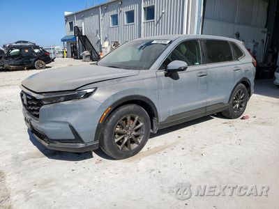 2026 HONDA CR-V EXL 2HKRS4H71TH420965 - główne zdjęcie licytacji z USA - miniatura