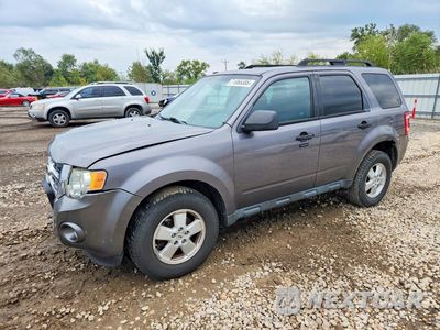 2010 FORD ESCAPE XLT 1FMCU0DG7AKD43205 - główne zdjęcie licytacji z USA - miniatura