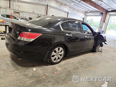 Trzecie zdjęcie samochodu z tyłu: 2010 HONDA ACCORD EXL VIN:1HGCP3F89AA026018 - miniatura
