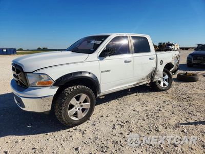 2010 DODGE RAM 1500 1D7RB1CP4AS235870 - główne zdjęcie licytacji z USA - miniatura