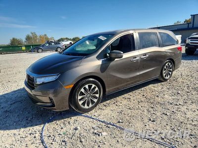 2021 HONDA ODYSSEY EXL 5FNRL6H71MB030053 - główne zdjęcie licytacji z USA - miniatura