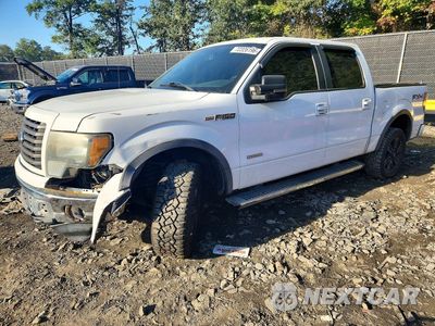 2011 FORD F150 SUPERCREW 1FTFW1ET0BFB22391 - główne zdjęcie licytacji z USA - miniatura