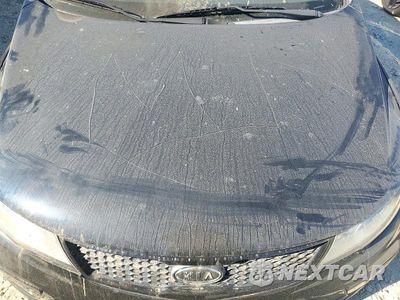 Zdjęcie 11 z 12 samochodu: 2012 KIA FORTE KOUP SX VIN:KNAFW6A35C5513527 - miniatura