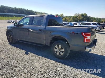 Drugie zdjęcie samochodu z przodu: 2020 FORD F150 SUPERCREW VIN:1FTEW1EB1LKD40786 - miniatura