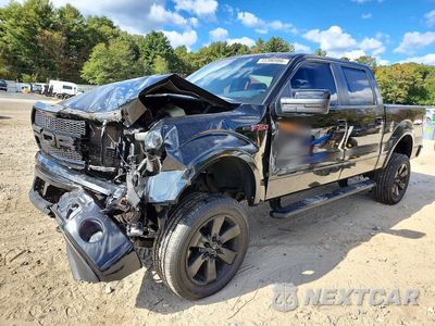 2013 FORD F150 SUPERCREW 1FTFW1EF5DFB71745 - główne zdjęcie licytacji z USA - miniatura