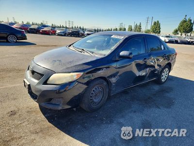 2009 TOYOTA COROLLA LE JTDBL40E199047615 - główne zdjęcie licytacji z USA - miniatura