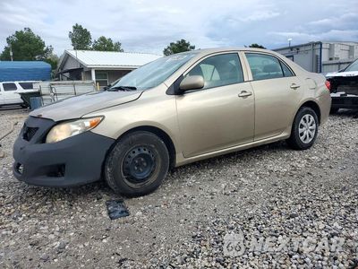 2010 TOYOTA COROLLA LE 1NXBU4EE8AZ166619 - główne zdjęcie licytacji z USA - miniatura