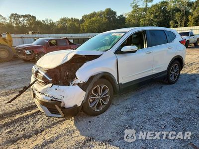 2020 HONDA CR-V EXL 2HKRW1H8XLH427778 - główne zdjęcie licytacji z USA - miniatura