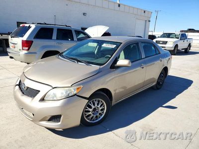 2010 TOYOTA COROLLA LE 2T1BU4EE8AC515666 - główne zdjęcie licytacji z USA - miniatura
