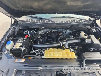 Zdjęcie 12 z 13 samochodu: 2021 FORD EXPEDITION XLT VIN:1FMJU1HT0MEA66470 - miniatura