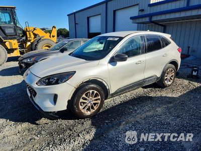 2022 FORD ESCAPE SE 1FMCU9G6XNUA60749 - główne zdjęcie licytacji z USA - miniatura