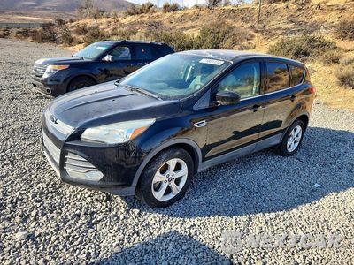 2013 FORD ESCAPE SE 1FMCU9GX7DUD78660 - główne zdjęcie licytacji z USA - miniatura