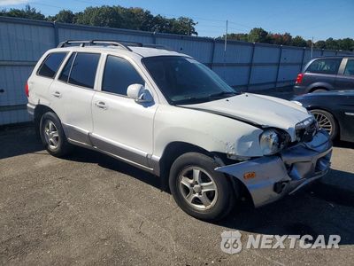 Czwarte zdjęcie samochodu z boku: 2004 HYUNDAI SANTA FE GL VIN:KM8SB12B44U831289 - miniatura