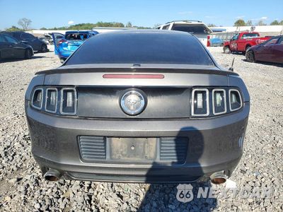 Zdjęcie 6 z 12 samochodu: 2013 FORD MUSTANG VIN:1ZVBP8AM9D5230050 - miniatura