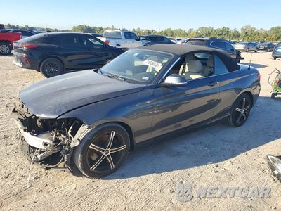 2017 BMW 230XI WBA2M9C30HV717615 - główne zdjęcie licytacji z USA - miniatura