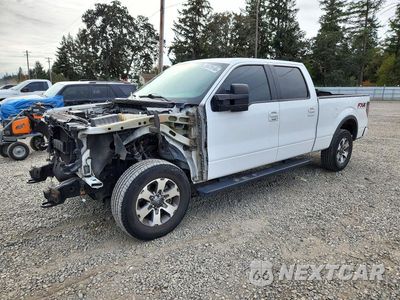 2013 FORD F150 SUPERCREW 1FTFW1EF7DKG33181 - główne zdjęcie licytacji z USA - miniatura